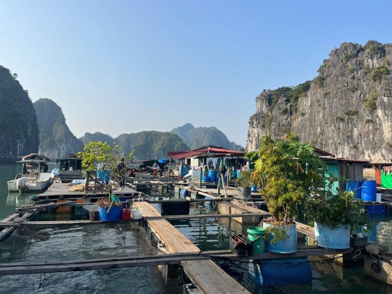 cat-ba-2-day-lan-ha-bay-cruise-with-plankton-excursion