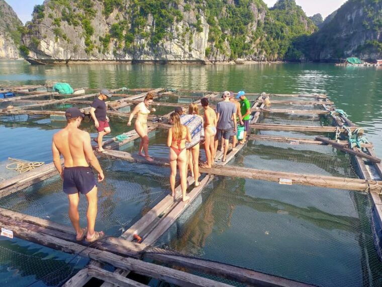 cat-ba-2-day-lan-ha-bay-cruise-with-plankton-excursion