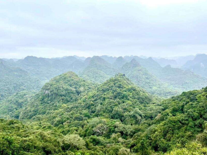 cat-ba-2-days-trip-luxury-cruise-national-park-beach