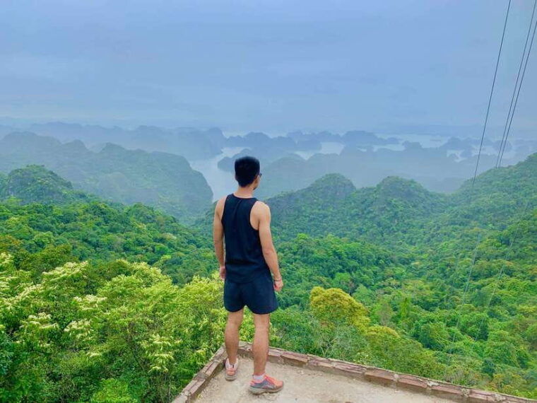 cat-ba-beauties-both-day-and-night-both-park-and-bay