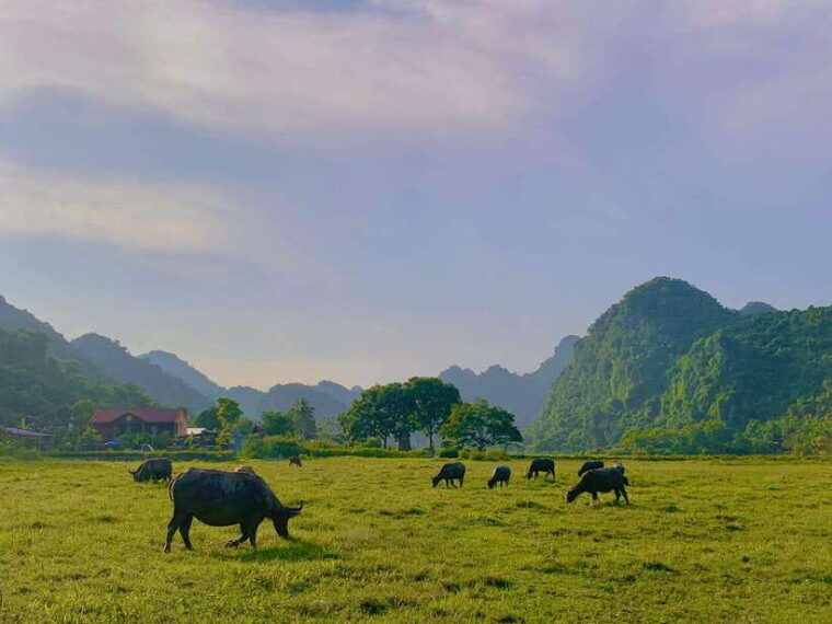 cat-ba-beauties-both-day-and-night-both-park-and-bay
