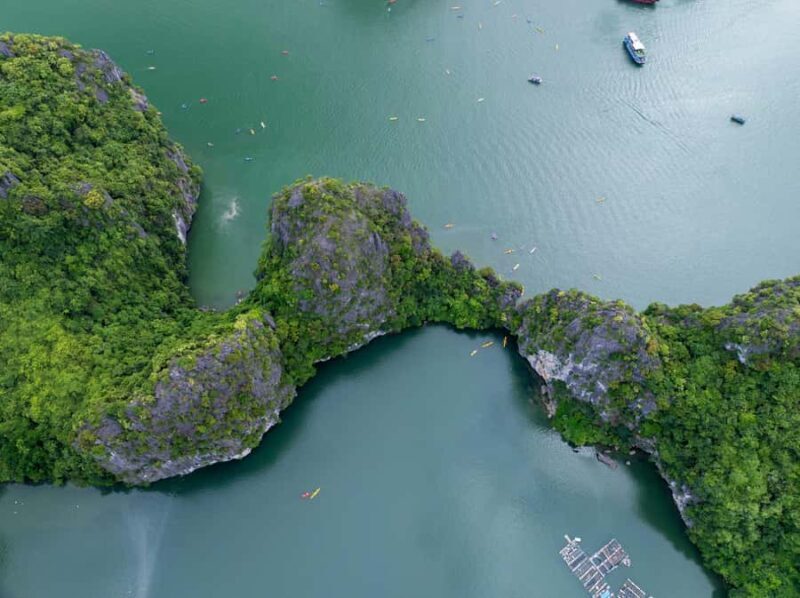 Cat Ba Full Moon Cruise: Lan Ha - Halong Bay - Monkey island - Final Thoughts