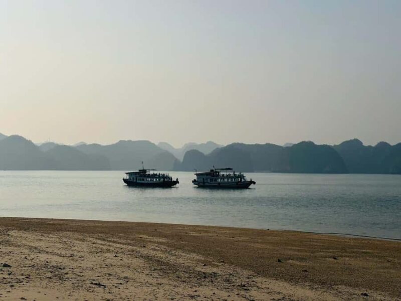 Cat Ba/Ha Noi: Night Kayaking with Glowing Plankton - A Closer Look at the Tour Experience