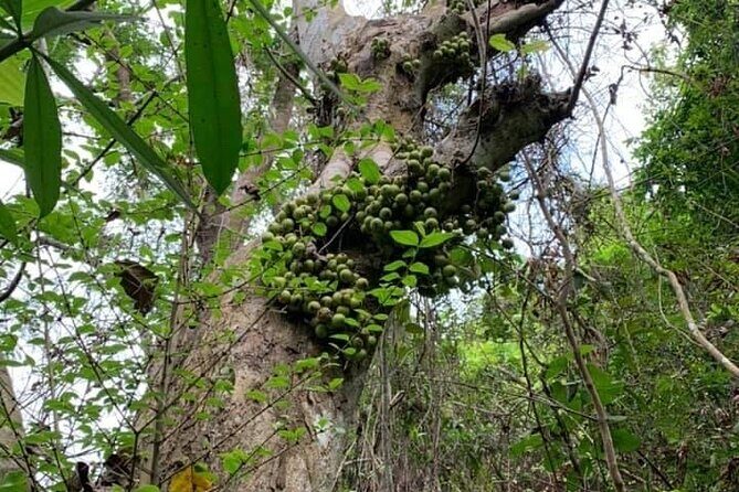 Cat Ba Island Getaway - The Sum Up: Who Should Consider the Cat Ba Island Getaway?