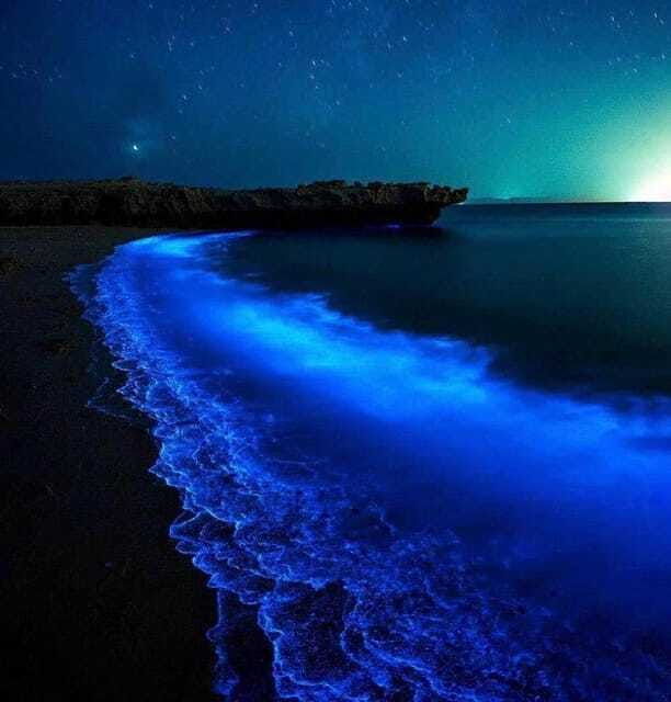 cat-ba-island-lan-ha-bay-bioluminescence-plankton-kayaking