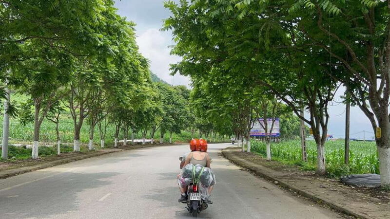 Cat Ba Island Lan Ha Bay Cruise With Water Activities - Additional Insights from Reviews