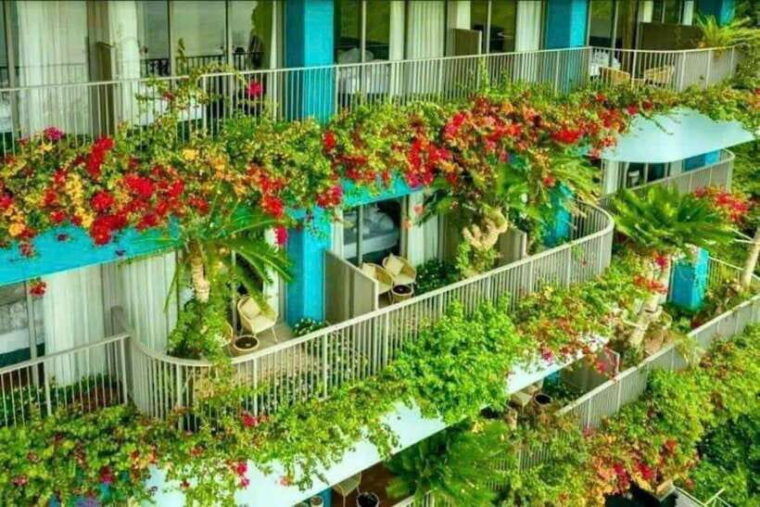 cat-ba-island-lan-ha-bay-day-cruise-from-hanoi