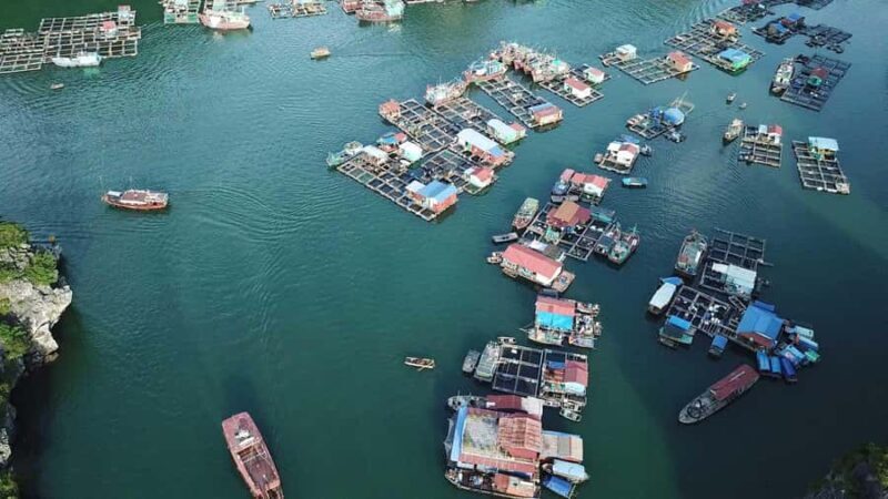 Cat Ba Island - Lan Ha Bay - Ha Long Bay Full Day Tour - Exploring Lan Ha Bay’s Natural Beauty