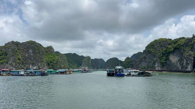Cat Ba Island, Lan Ha Bay Sightseeing Cruise Full Day Tour - Key Points
