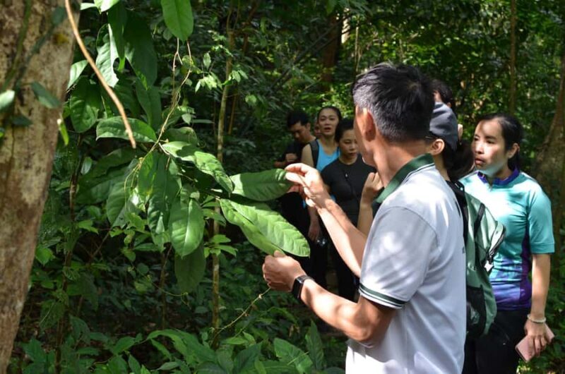 Cat Ba Island: National Park Cycling Tour with Picnic Lunch - Authentic Insights from Reviewers