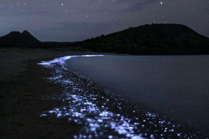 cat-ba-lan-ha-bay-bioluminescent-plankton-kayak-boat-tour