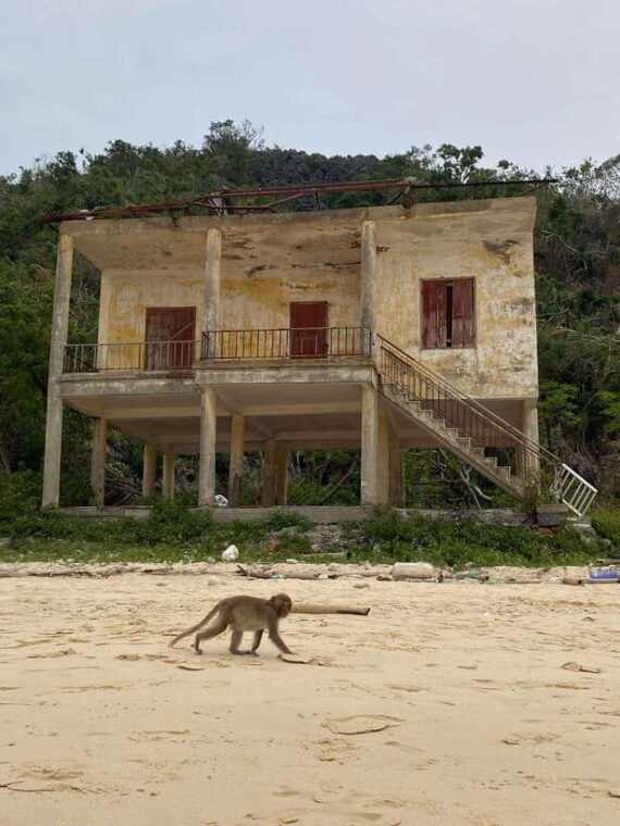 cat-ba-lan-ha-bay-bioluminescent-plankton-kayak-boat-tour