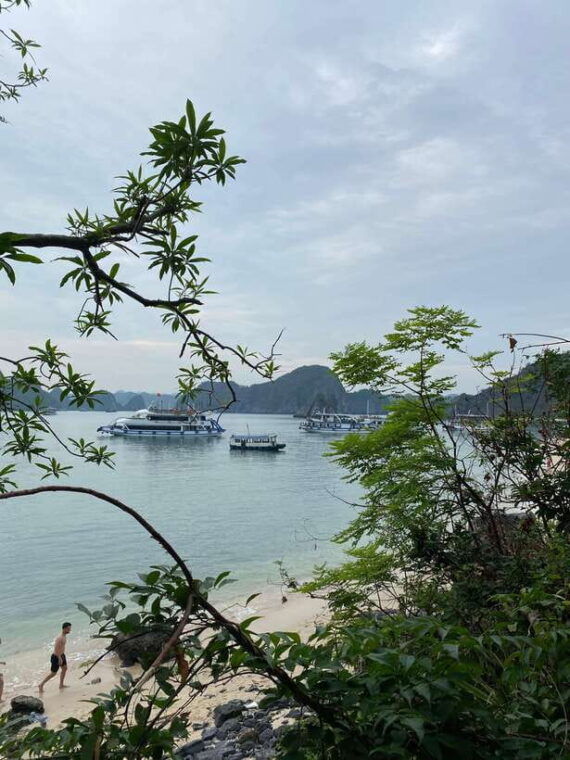 cat-ba-lan-ha-bay-bioluminescent-plankton-kayak-boat-tour