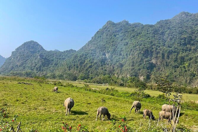 Cat Ba- Lan Ha Bay Day Trip Best Selling: Kayaking, Biking, Lunch - Exploring the Cat Ba-Lan Ha Bay Day Trip: An Authentic Vietnamese Adventure