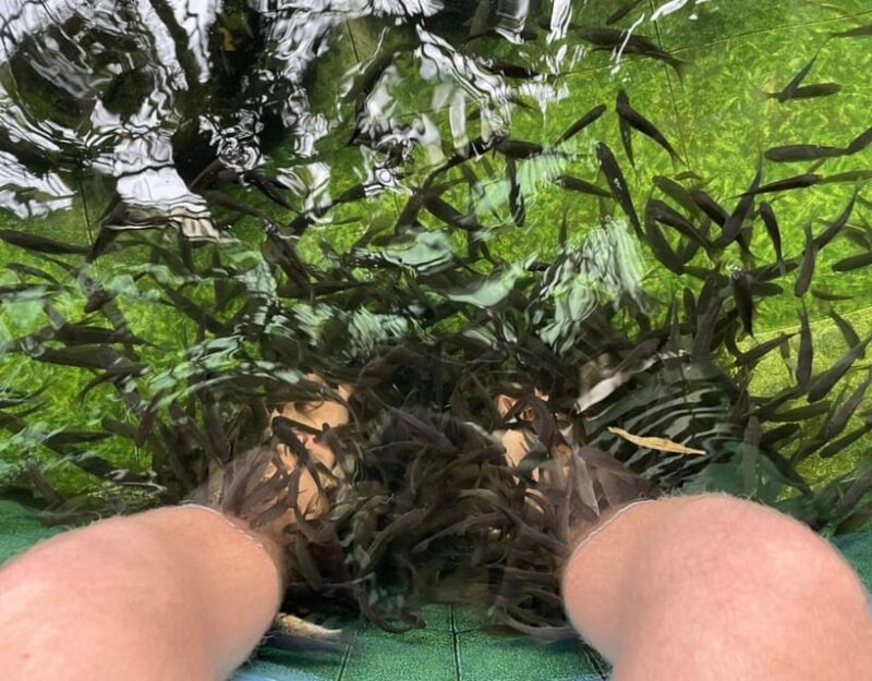 Cat Ba: Lan Ha Bay Luxury Day Tour: Cruise, Kayaking, Biking - Who Is This Tour Best For?