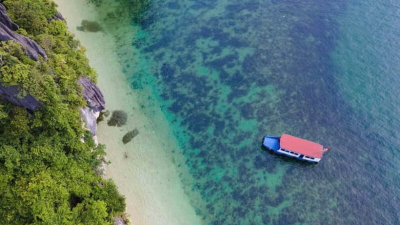 Cat Ba: Lan Ha Bay Private 1/2 Day Boat Tour with Kayaking - An In-Depth Look at the Tour Experience