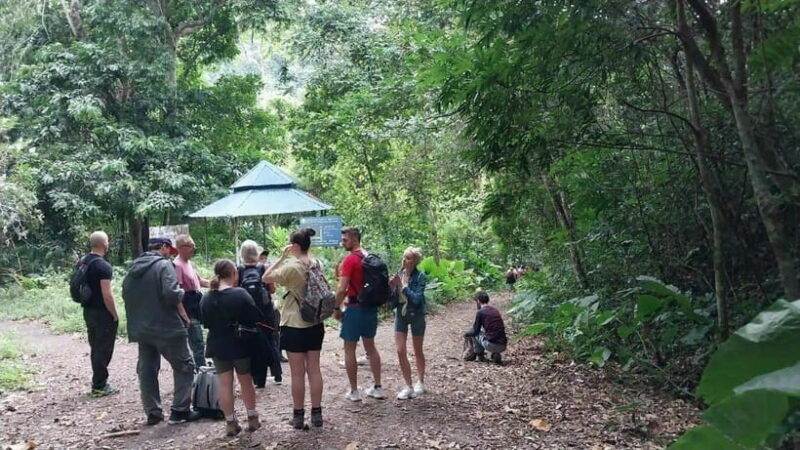 Cat Ba: National Park Day Trip with Cycling and Kayaking - In-Depth Review of the Cat Ba National Park Day Trip