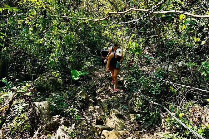 Cat Ba National Park Full Day Trekking, Biking from Cat Ba Island - A Deep Dive into the Day’s Highlights
