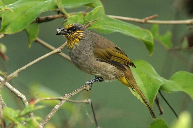 Cat Ba National Park Full Day Trekking, Biking from Cat Ba Island - Who Should Consider This Tour?