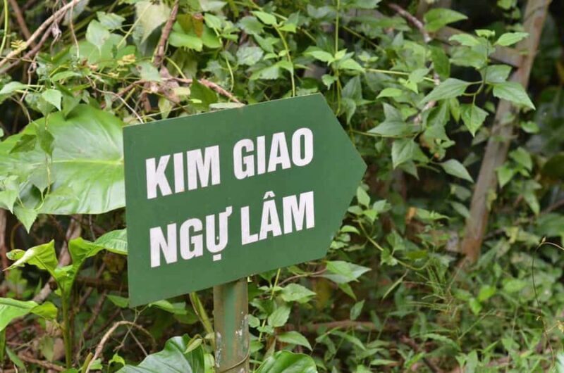 Cat Ba National Park: Secret Jungle Trek & Hidden Caves - Exploring the Highlights of Cat Ba National Park