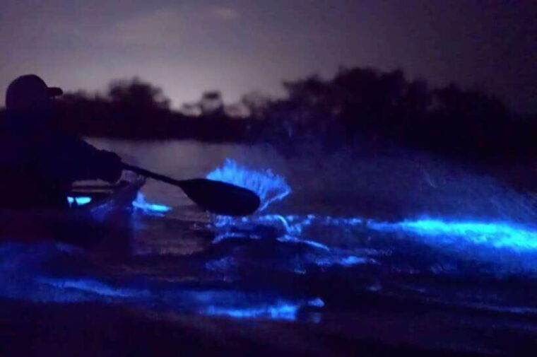 cat-ba-sunset-and-night-kayak-with-bioluminescent-plankton