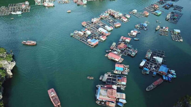 Cat Ba: Sunset on Lan Ha Bay with Kayak & Sunset Party - Whats Included & Whats Not