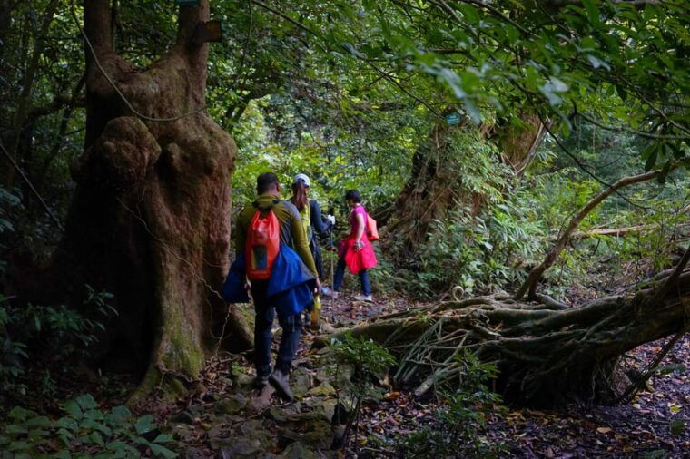 cat-ba_sup-trekking-conquering-cat-ba-forest-and-lan-ha-bay
