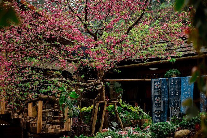 Cat Cat Village Half Day Walking Tour in Sapa - FAQ