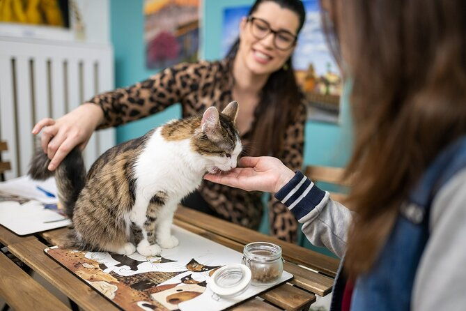 cat-museum-budapest-entry-ticket