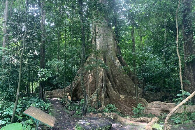 Cat Tien Day Trip from HCMC: Jungle Trek & Wildlife Safari - Who Will Love This Tour?