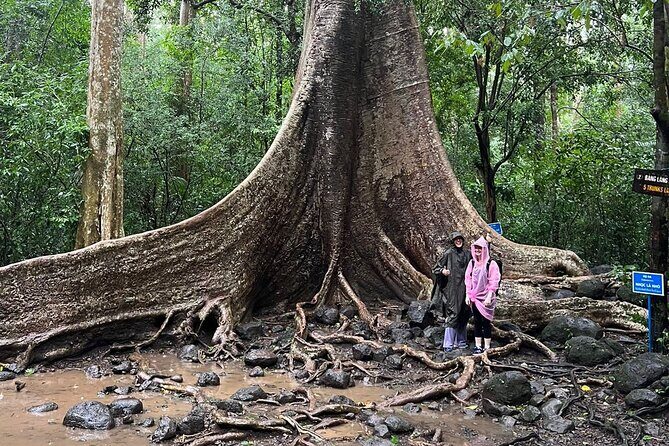 Cat Tien National Park 2-Day Tour: Biking, Trekking, Safari Night - The Sum Up: Who Will Love This Experience?