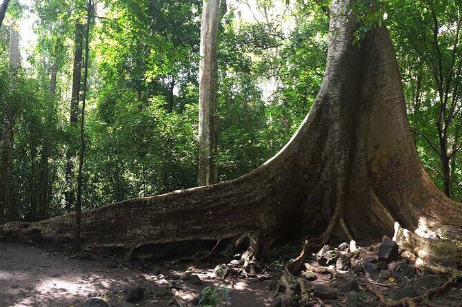 Cat Tien National Park Day Trip with Trekking and Cycling - Authentic Insights from Reviewers