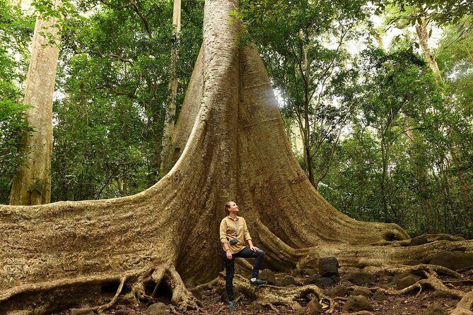 Cat Tien National Park Day Trip with Trekking and Cycling - Final Thoughts