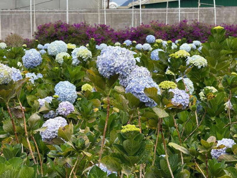 cat-tien-national-park-private-2-day-tour-with-female-guide