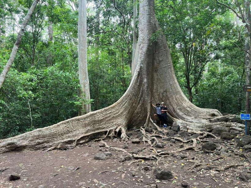 cat-tien-national-park-private-2-days-biking-trekking-tour