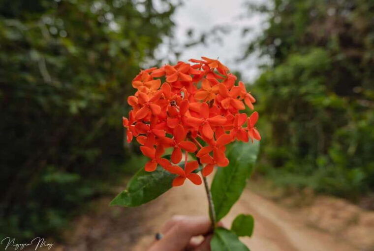 cat-tien-national-park-private-2-days-biking-trekking-tour