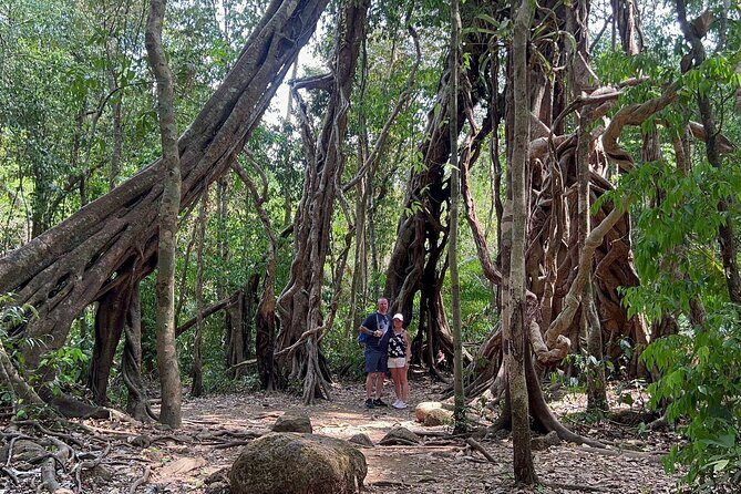Cat Tien National Park Tour: Biking, Walking, Wildlife Safari - The Sum Up