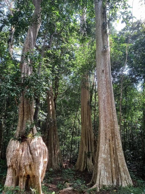 cat-tien-national-park-with-crocodile-lake