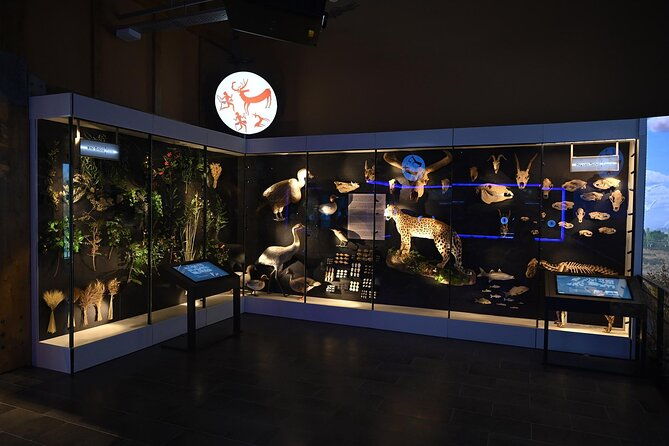 catalhoyuk-archaeological-excavation-site-and-virtual-museum