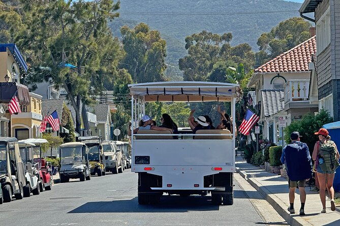catalina-island-city-and-scenic-mt-ada-tour