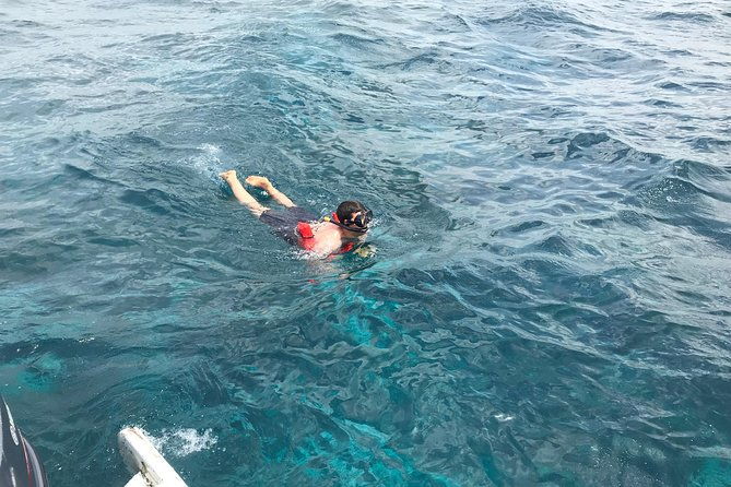 catalina-island-daytrip-great-snorkeling