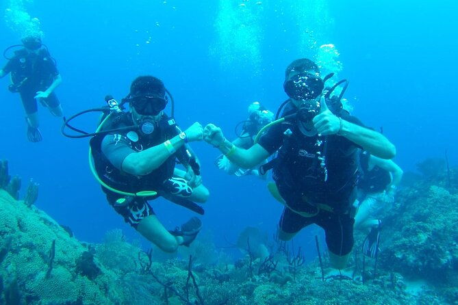catalina-island-diving-experience-from-punta-cana