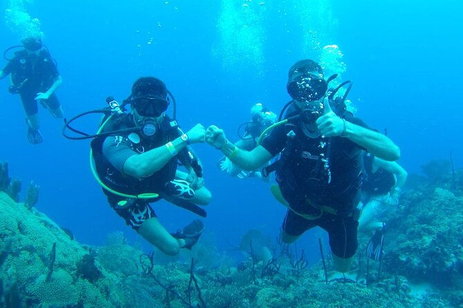 catalina-island-diving-experience-from-punta-cana