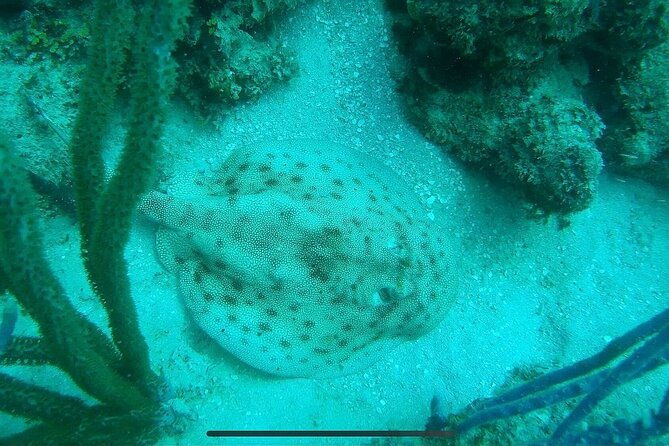 catalina-island-diving-experience-from-punta-cana