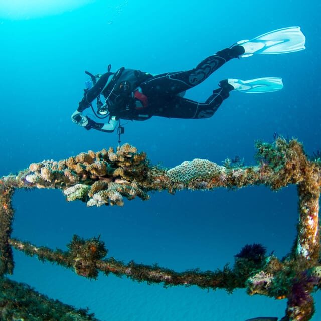 Catalina Island Full-Day Diving Tour + Lunch from Punta Cana - In-Depth Look: The Experience Breakdown