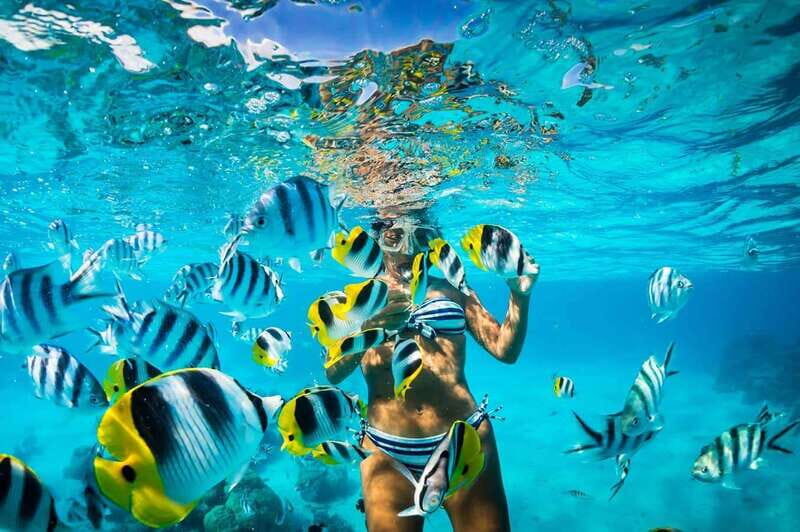 Catalina Island Full-Day Snorkeling + Lunch from Punta Cana - An Honest Look at the Catalina Island Snorkeling Day Tour from Punta Cana