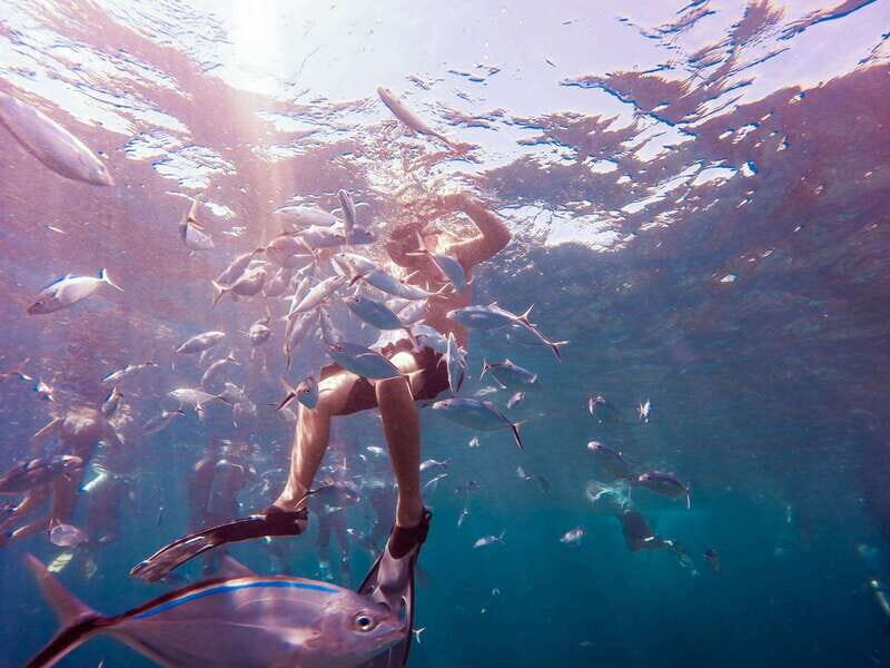 Catalina Island Full-Day Snorkeling + Lunch from Punta Cana - Key Points