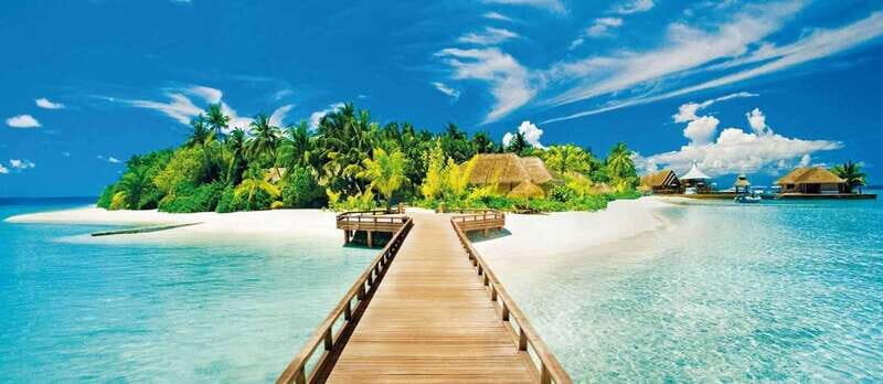 Catalina Island Full-Day Snorkeling + Lunch from Punta Cana - Who This Tour Is Best For