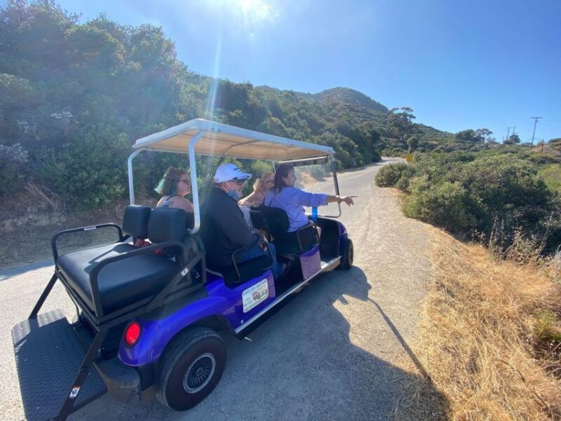 catalina-island-private-guided-golf-cart-tour-of-avalon