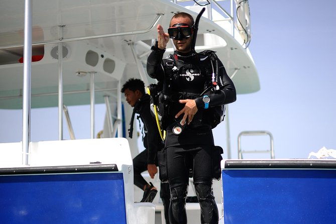 catalina-island-scuba-diving-amazing-full-day-tour